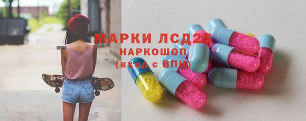 индика Горно-Алтайск