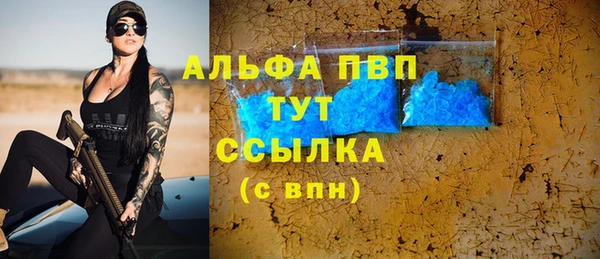 стафф Вяземский
