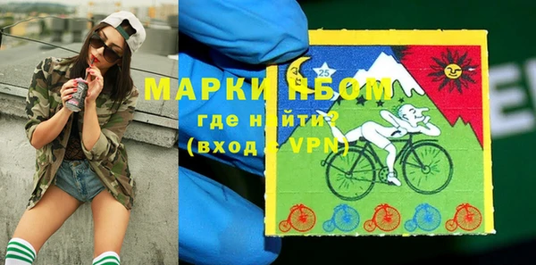 индика Горно-Алтайск