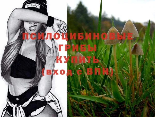 стафф Вяземский