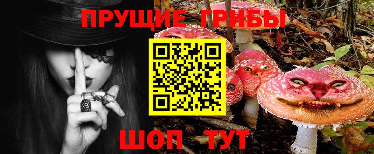 Псилоцибиновые грибы Psilocybe  Медногорск  закладка  Псилоцибиновые грибы GOLDEN TEACHER 