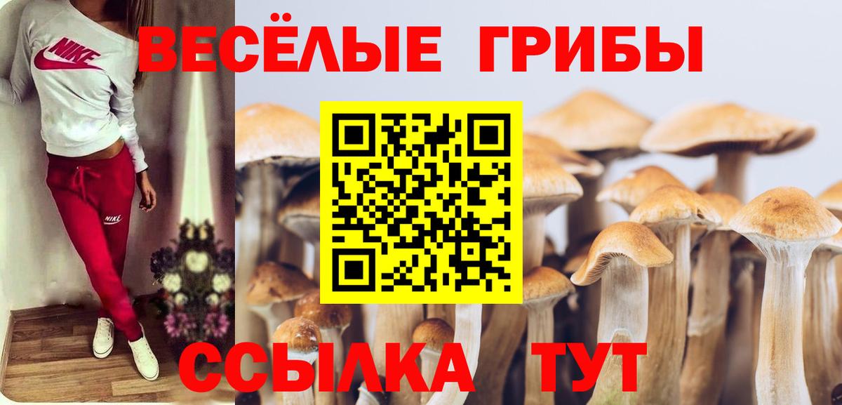 Псилоцибиновые грибы мухоморы Медногорск