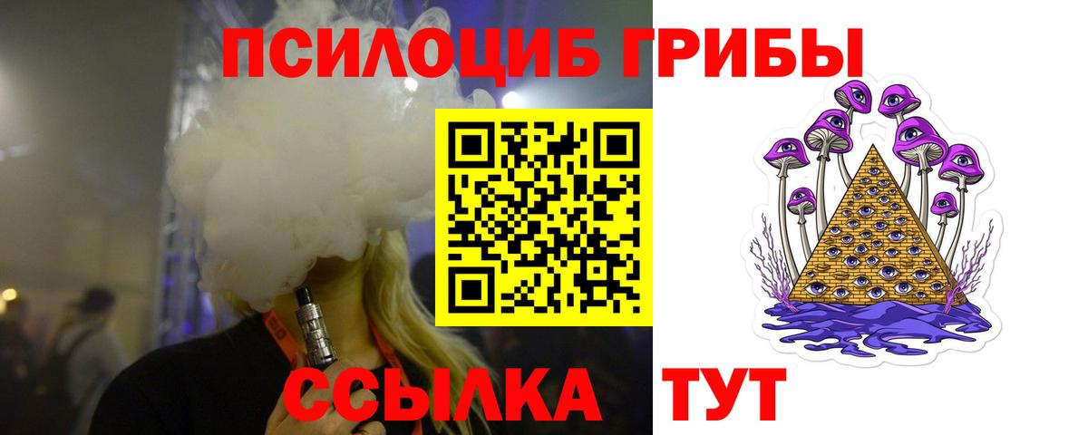 Псилоцибиновые грибы мицелий Медногорск